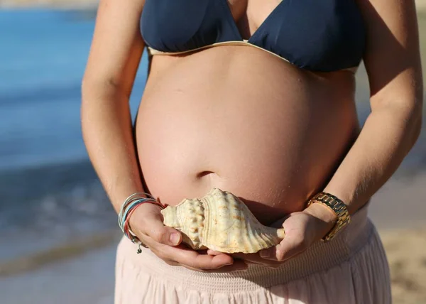 Femme Enceinte Ventre Avec Une Conque — Photo