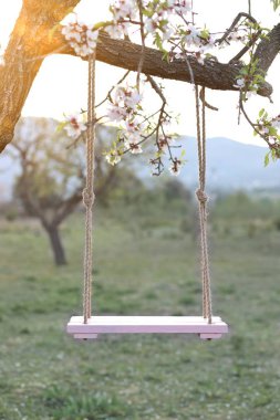 Photographic background for newborn or girls on a pink swing. Swing hanging from an almond tree or cherry clipart