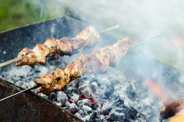 Churrasco Carne Churrasco Braseiro Verde Fundo — Fotografia de Stock