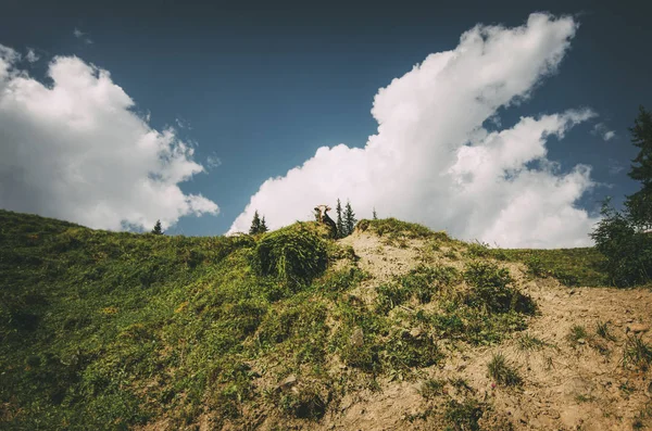 Inek Dağlarda Yeşil Kahverengi Mavi Gökyüzü Beyaz Bulutlar — Stok fotoğraf