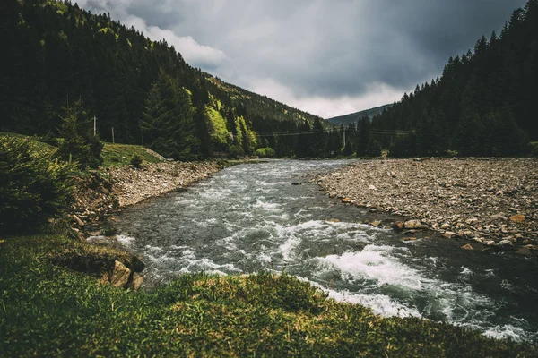 Горная река с травяными камнями деревья серые облака быстрой воды — стоковое фото