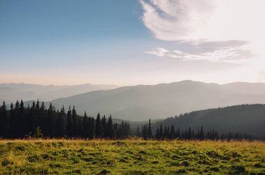 ağaçları ile bulutlu gökyüzü ile dağlarda günbatımı sis