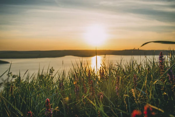 Puesta de sol en el mar con hierba y colinas — Foto de Stock