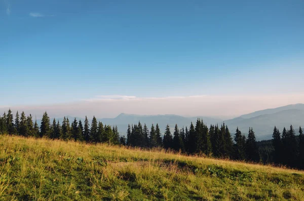 Закат тумана в горах с деревьями — стоковое фото