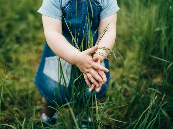 Little girl exploring the nature — Stockfoto