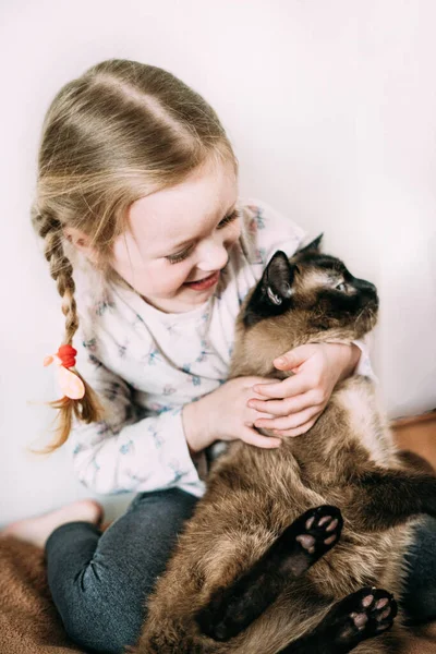 少女は笑い 最愛のペットと遊ぶ 同じような美しいと非常に患者猫 子供や動物 家族の幸せ 家族的な雰囲気 猫の命がないとダメなんだ — ストック写真