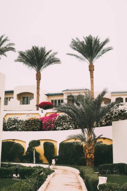 Yaz sıcağında Sharm el Sheikh, Sina, Mısır ve Asya 'da palmiye ağaçları olan güneşli bir tatil köyü. Parlak güneşli bir ışık. Deniz kıyısındaki otelin plajına giden yol. Tipik Mısır mimarisi. 