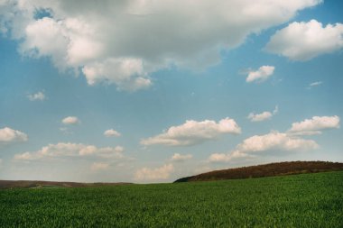 Tepeleri olan güneşli yeşil arazi. Mavi bulutlar.