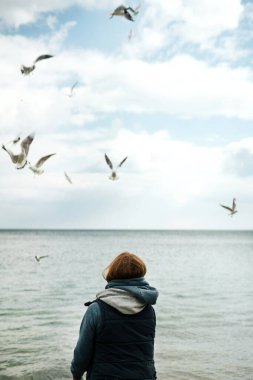 Kolsuz tişörtlü yalnız bir kız ve kapüşonlu pembe bir kazak deniz kenarındaki martıları besler.. 