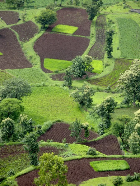 Blick Von Oben Auf Landwirtschaftliche Flächen Mit Feldern Und Bäumen — Stockfoto