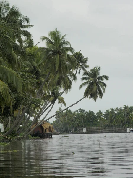 Landscape Houseboat Backwaters Kerala India — Stock Photo, Image