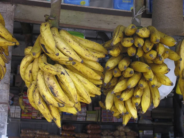 Bananas Cachos Fro Venda — Fotografia de Stock