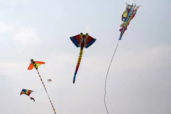 SABARMATI RIVERFRONT, AHMEDABAD, GUJARAT, INDIA, 13 января 2018 года. Различные воздушные змеи, участвующие в Международном фестивале воздушных змеев — стоковое фото