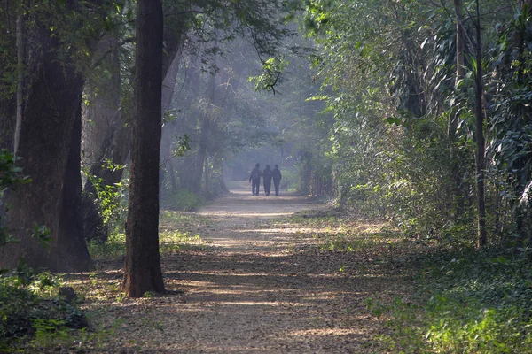 Trois personnes faisant une promenade matinale en hiver, matin brumeux, campus de l'Université Pune, Pune — Photo