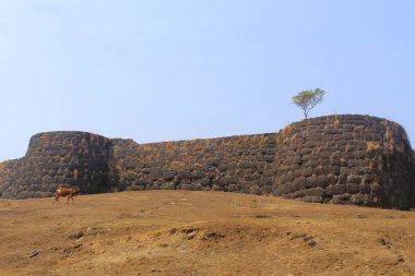 Arkadan görünüşü Goa Fort, Fateghad, Kokan.