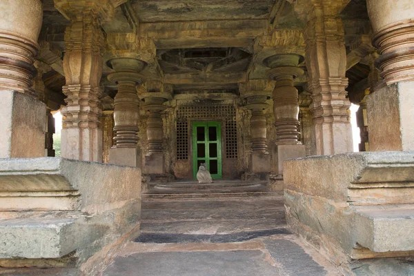 Dambal, Karnataka eyalet, Hindistan. Doddabasappa Tapınağı iç sütunlar — Stok fotoğraf