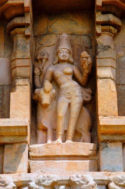 Onun boğa, mukhamandapa, Brihadisvara Tapınağı, Gangaikondacholapuram, Tamil Nadu, Hindistan Güney duvarındaki niş yanında Ardhanarisvara