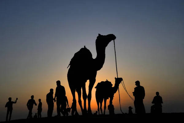 Kamelritte in Silhouette, Samdünen, Jaisalmer, Rajasthan, Indien — Stockfoto