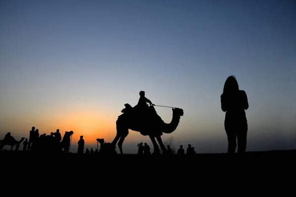 Paseos en camello en silueta, dunas SAM, Jaisalmer, Rajasthan, India —  Fotos de Stock