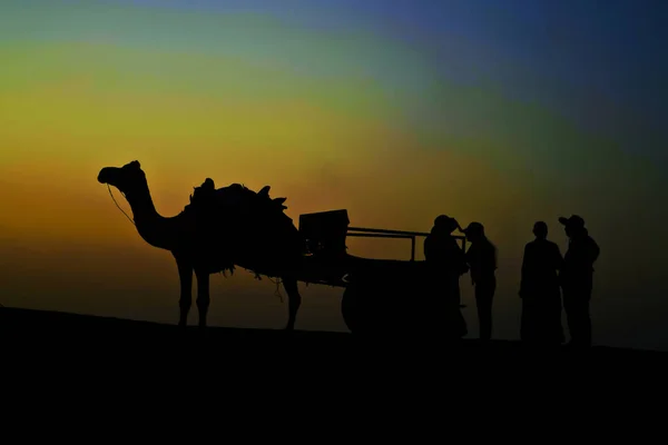 Teve kocsi sziluett, Sam dűnék, Jaisalmer, Rajasthan, India — Stock Fotó