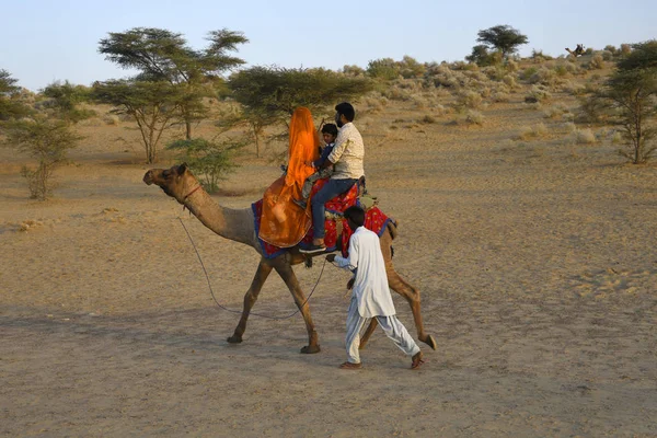 JAISALMER, RAJASTHAN, INDIA, noviembre 2018, Viajes en camello enoying turístico en las dunas de SAM — Foto de Stock