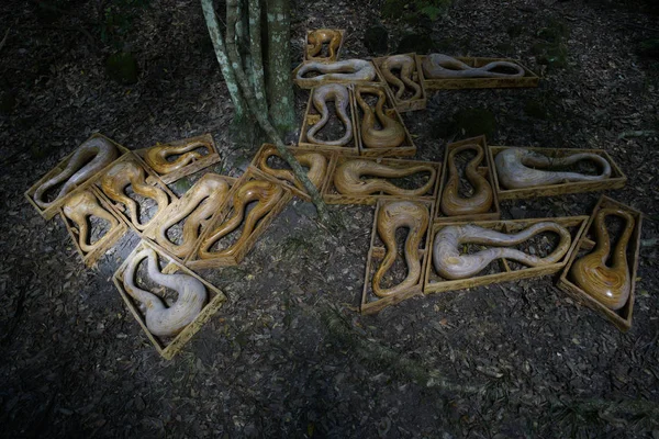 Esculturas Jardim, Montanha Azul, NSW, Austrália — Fotografia de Stock