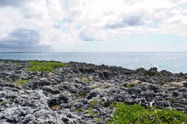 Kayalık okyanus sahil Dominik Cumhuriyeti