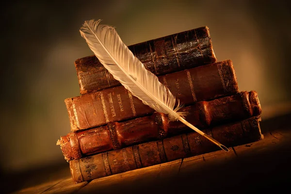 Old Leather Books Quill Pen — Stock Photo, Image