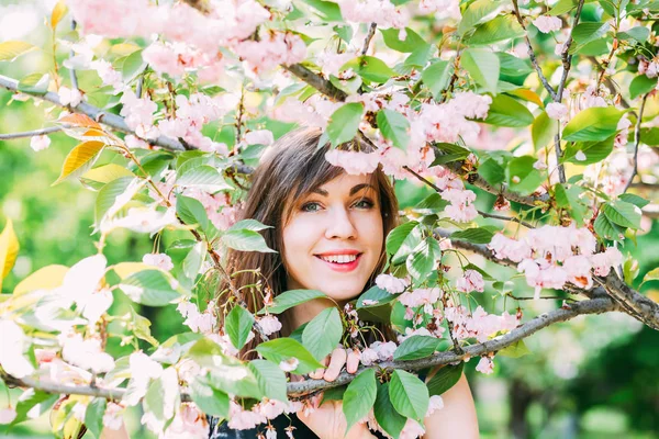 Joven Mujer Hermosa Cerca Sakura Árbol Floreciente Flores Rosas Concepto — Foto de Stock