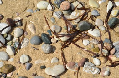 Çakıl taşları ve deniz ot doku veya backgrou için kum plaj