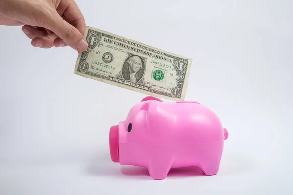 Erkek el dolarlık banknot pembe kumbara koyarak