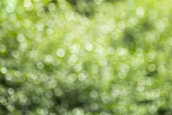 yeşil bokeh soyut arkaplan