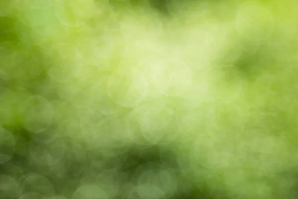 yeşil bokeh soyut arkaplan
