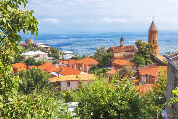 Signagi town and the valley Alazani river — Stock Photo, Image