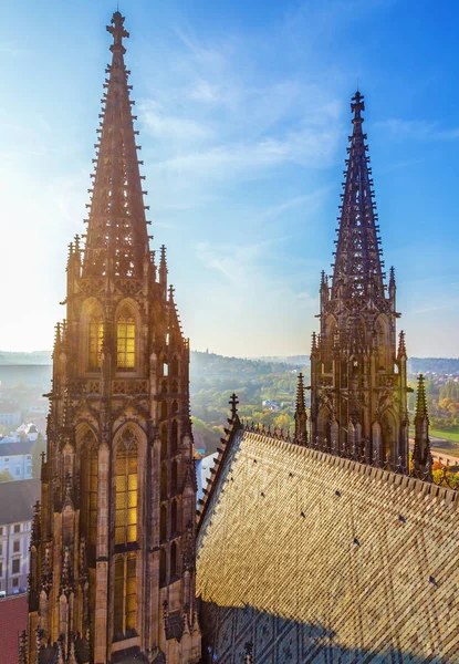 Katedral Saints Vitus taş doğal görünümü