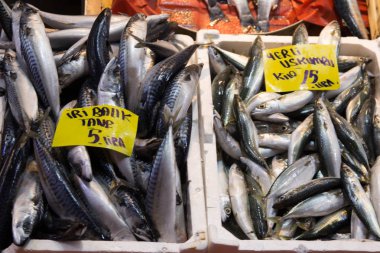 Sokak balık pazarında taze balık ve deniz ürünleri satılmaktadır. Istanbul, Türkiye