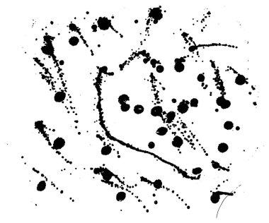 siyah vektör boyama splatter damla