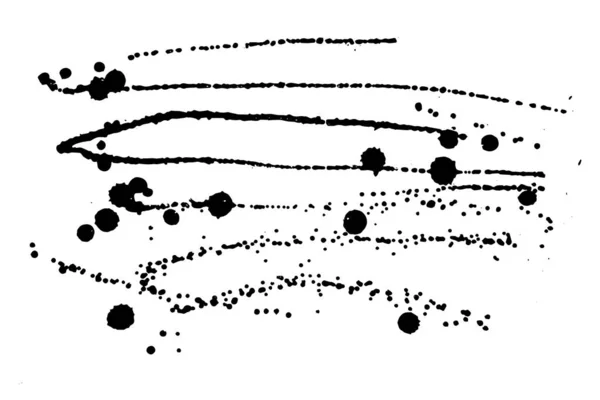 Vector Negro Pintura Gotas Salpicadura — Archivo Imágenes Vectoriales