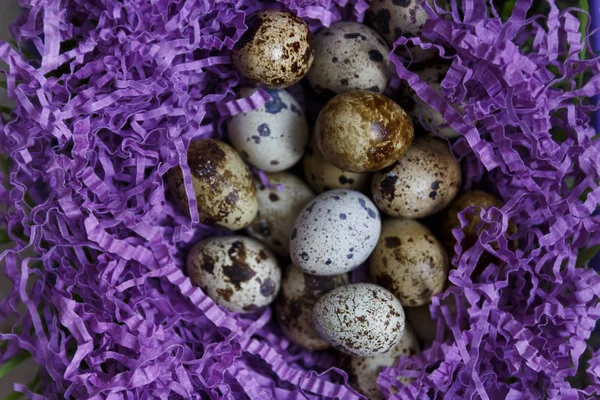 Αυγά ορτυκιού — Φωτογραφία Αρχείου