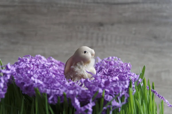 toy rabbit on purple d��cor