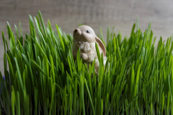 toy rabbit in the green grass