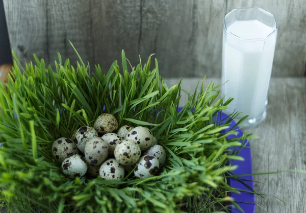푸른 잔디와 우유 한 잔에 많은 메 추 라 기의 달걀 — 스톡 사진