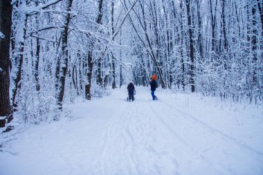 Kış ağaç arka plan ve insanlar