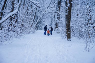 Kış ağaç arka plan ve insanlar
