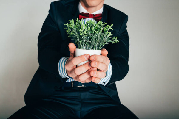 man holding plant in hands