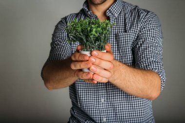 bitki elinde tutan adam