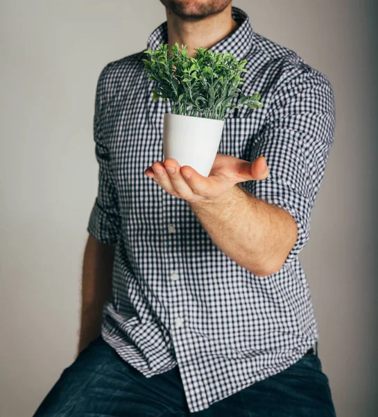 Homem segurando planta na mão — Fotografia de Stock