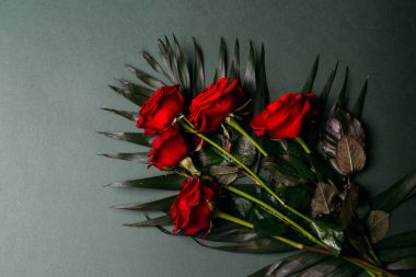 yeşil bir arka planda, yeşil kırmızı gül yaprakları