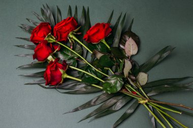 yeşil bir arka planda, yeşil kırmızı gül yaprakları