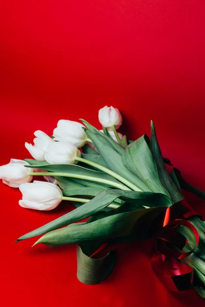 white tulips bouquet on red background. Red and white. Top view with space for your text